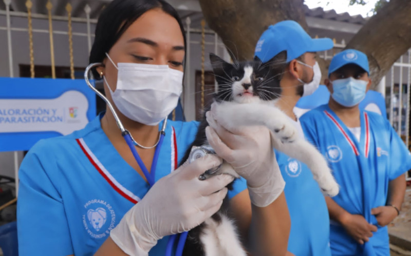 Fotografía funcionaria de Salud Pública atendiendo una mascota