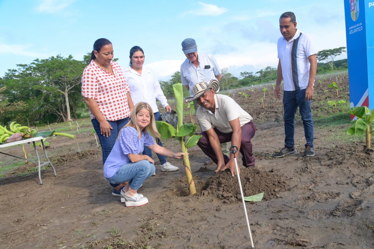 Atlantico renacer del campo en Santa Lucia y Suan